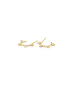 Alcira Ohrstecker, Ohrringe gold, Produktfoto