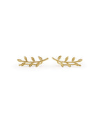 Eleah Ohrstecker, Ohrringe gold, Produktfoto, Front View