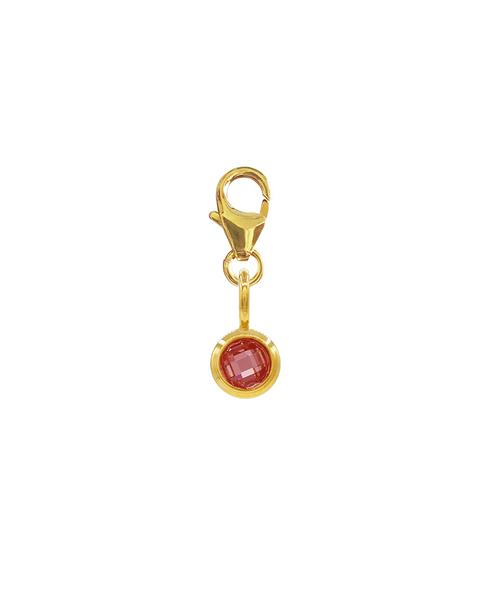 PURE SHINE SNAP CHARM