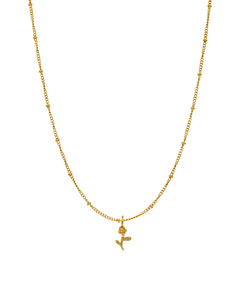 SURIYA KETTE