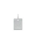Trait Charm Silber - Produktfoto