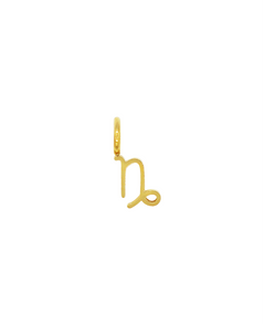 ZODIAC CHARM - STEINBOCK