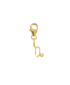 ZODIAC SNAP CHARM - STEINBOCK
