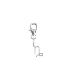 ZODIAC SNAP CHARM - STEINBOCK