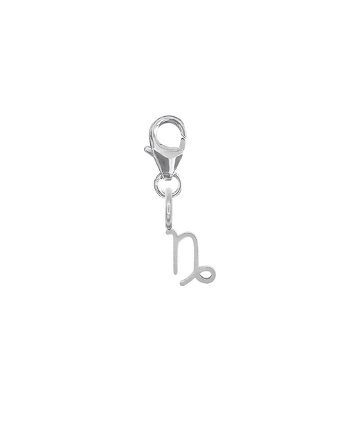 ZODIAC SNAP CHARM - STEINBOCK