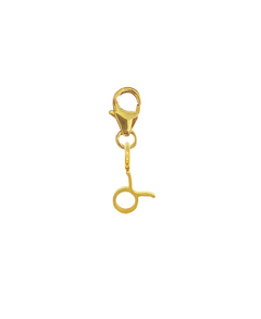 ZODIAC SNAP CHARM - STIER