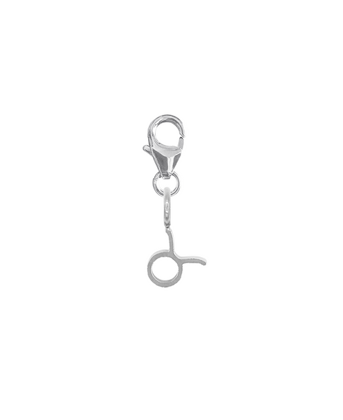 ZODIAC SNAP CHARM - STIER