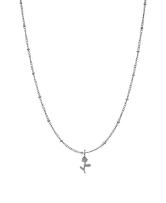 SURIYA KETTE