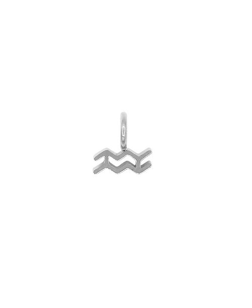 ZODIAC CHARM - WASSERMANN