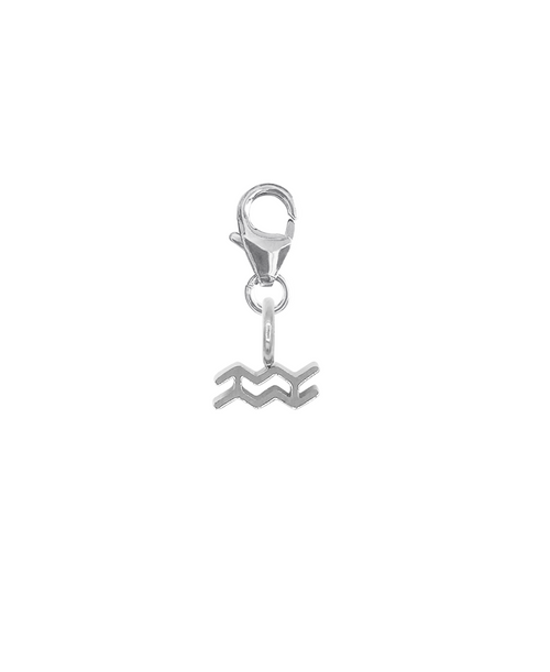 ZODIAC SNAP CHARM - WASSERMANN