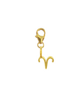 ZODIAC SNAP CHARM - WIDDER