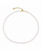 LYSARA CHOKER