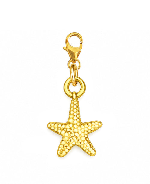 SURI CHARM 